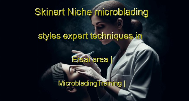 Skinart Niche microblading styles expert techniques in Ersai area | MicrobladingTraining | MicrobladingClasses | SkinartTraining-China